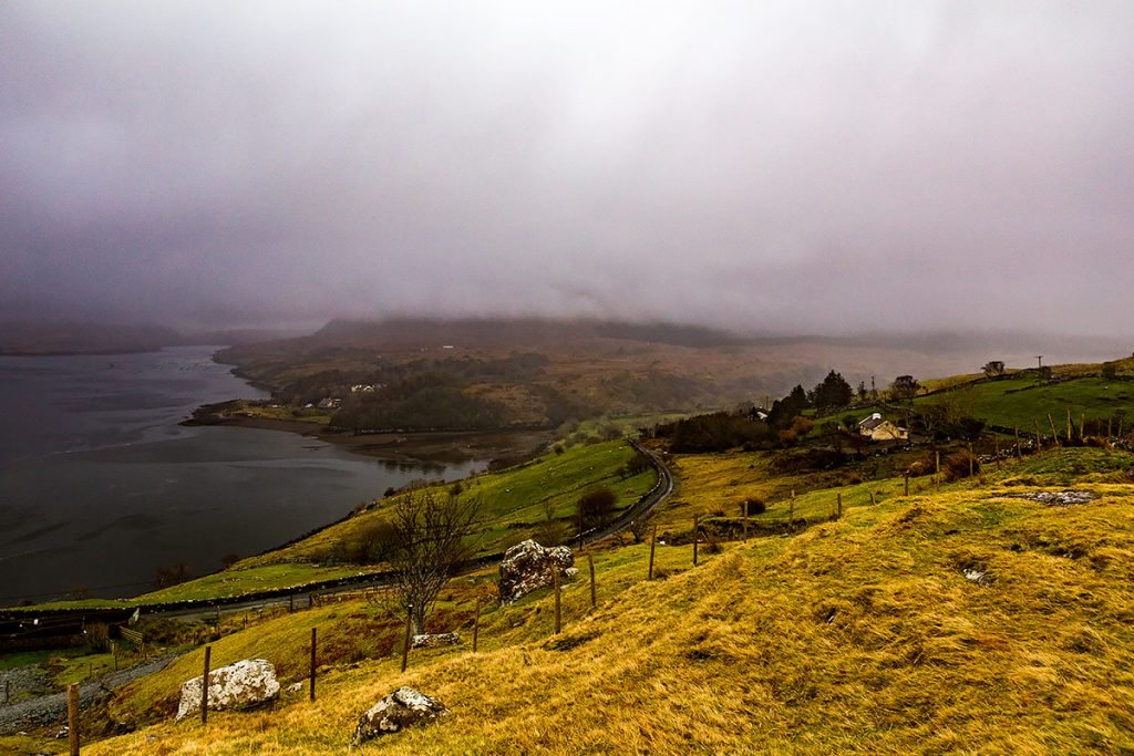 Ireland Goat Farm, April 2, 2015